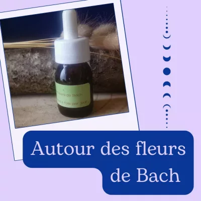 Attrape rêve des saisons - Au fil des saisons" 🍃💮🍂❄️