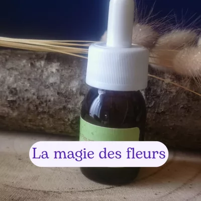 Attrape rêve des saisons - Au fil des saisons